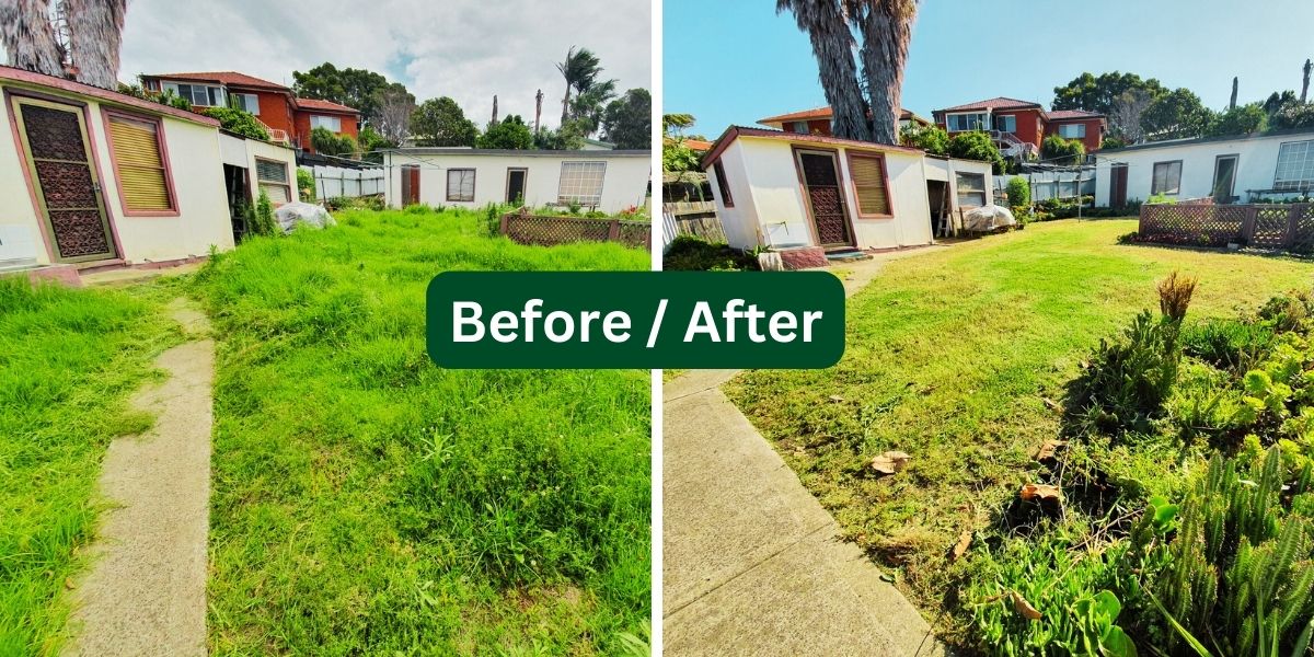 Yard transformation 1